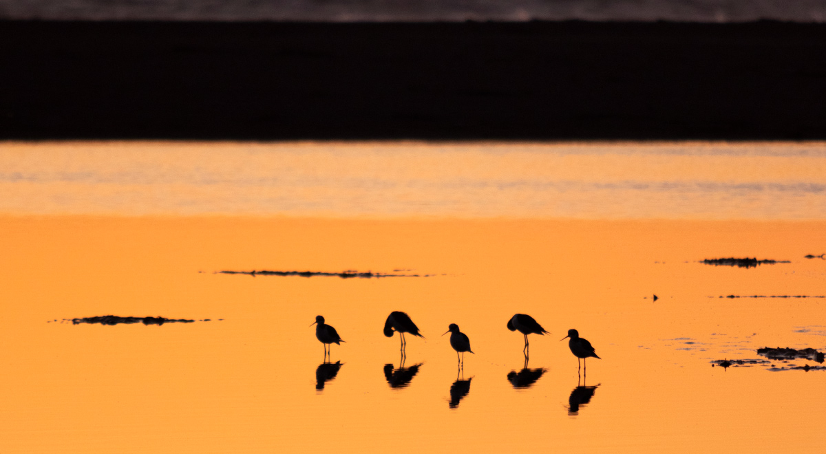  Convocado por la Fundación Kennedy junto a otras organizaciones, la sexta versión de este concurso está abierto a todo público y  se podrá postular hasta el 9 de noviembre de 2025. 